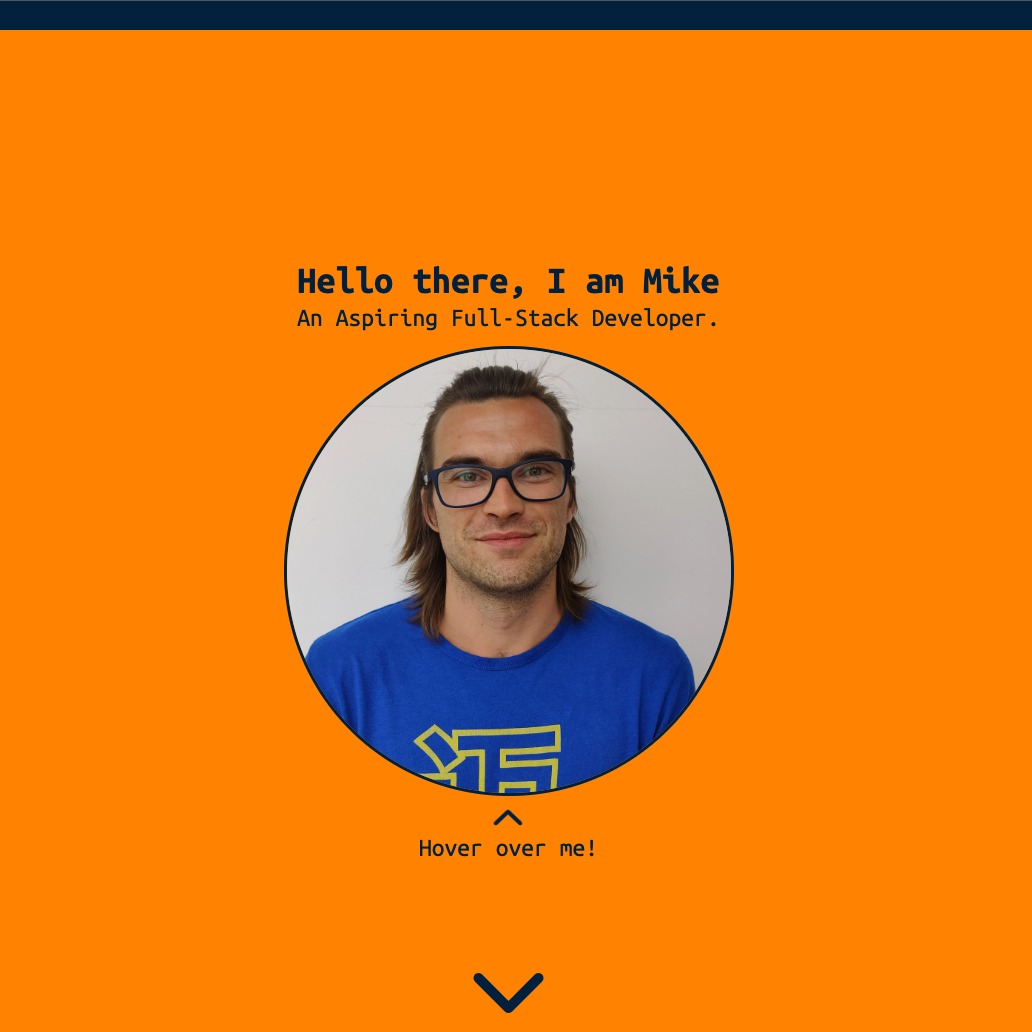 image of the portfolio site you are currently on